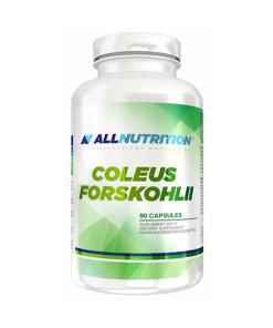 Allnutrition - Coleus Forskohlii - 90 caps