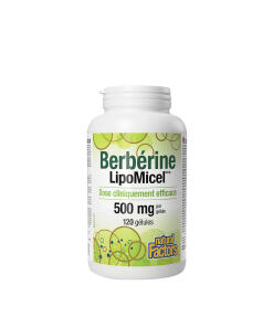 Natural Factors - Natural Factors Berberine LipoMicel Matrix (120 Softgels)