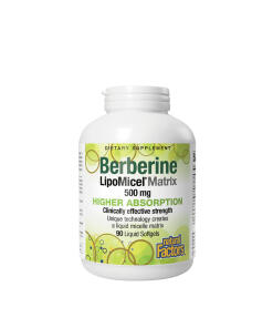 Natural Factors - Natural Factors Berberine LipoMicel Matrix - 500 mg Berberine (90 Softgels)