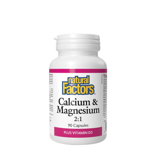 Natural Factors - Natural Factors Calcium & Magnesium 2:1 Plus Vitamin D3 (90 Capsules)