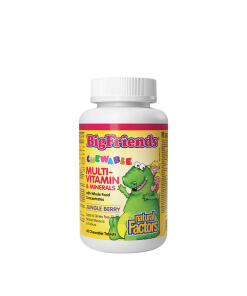 Natural Factors - Natural Factors Chewable Multivitamin & Minerals with Whole Food Concentrates (90 Chewables