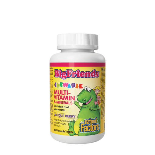 Natural Factors - Natural Factors Chewable Multivitamin & Minerals with Whole Food Concentrates (90 Chewables