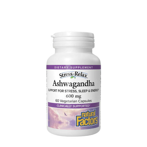 Natural Factors - Natural Factors  KSM-66 Ashwagandha® (90 Capsules)