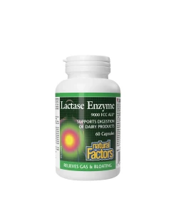 Natural Factors - Natural Factors Lactase Enzyme (60 Capsules)