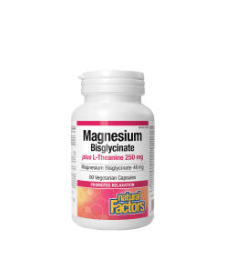 Natural Factors - Natural Factors Magnesium Bisglycinate 100 plus L-Theanine 250 mg (90 Capsules)