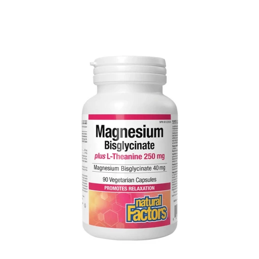 Natural Factors - Natural Factors Magnesium Bisglycinate 100 plus L-Theanine 250 mg (90 Capsules)