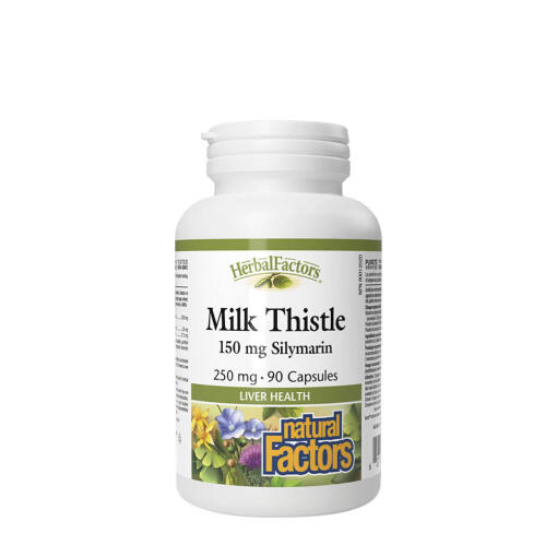 Natural Factors - Natural Factors Milk Thistle 250 mg/150 mg Silymarin (90 Capsules)