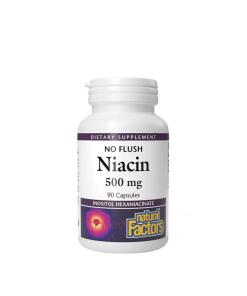 Natural Factors - Natural Factors Niacin 500 mg  (90 Capsules)