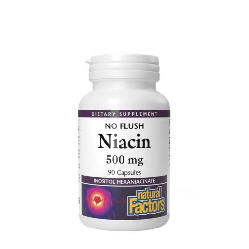 Natural Factors - Natural Factors Niacin 500 mg  (90 Capsules)