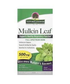Nature's Answer - Mullein Leaf