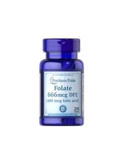 Puritan's Pride - Puritan's Pride Folic Acid 400 mcg (250 Tablets)