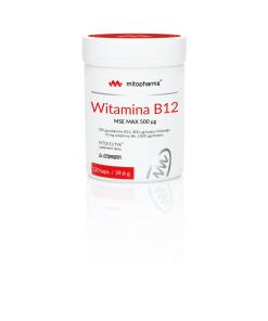 Dr. Enzmann MSE - DR. ENZMANN MSE Vitamin B12 MSE MAX (120 caps)