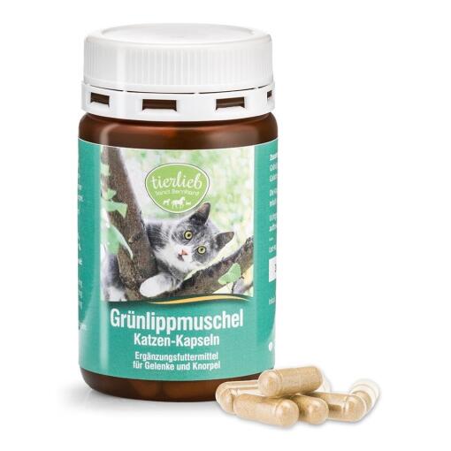 Tierlieb - TIERLIEB Green-lipped Mussel Cat Capsules (90 caps)