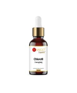 Yango - YANGO White Mulberry Chlorophyll in drops (30 ml / 1 fl. oz.)