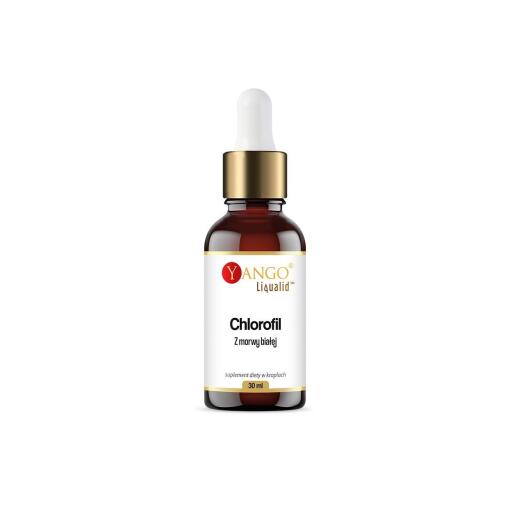 Yango - YANGO White Mulberry Chlorophyll in drops (30 ml / 1 fl. oz.)