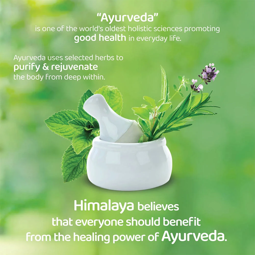 Shampooing anti-pelliculaire Himalaya (400 ml, Arbre à thé - Aloe Vera) – Image 3