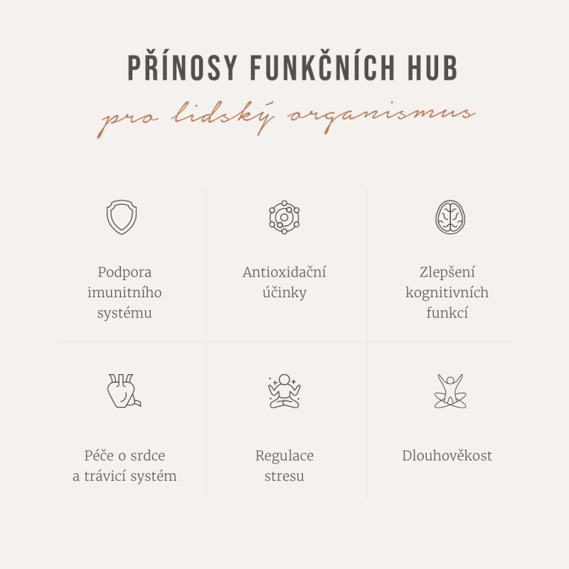 Mélange de café adaptogène à l'ashwagandha et au chaga biologique de Four Sigmatic, quantité de poudre 10 sachets – Image 3