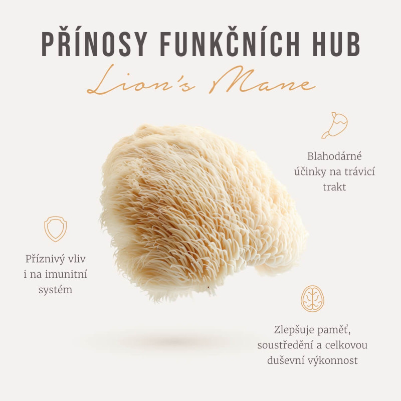 Mélange de café moulu biologique au champignon Lion's Mane de Four Sigmatic – Image 2