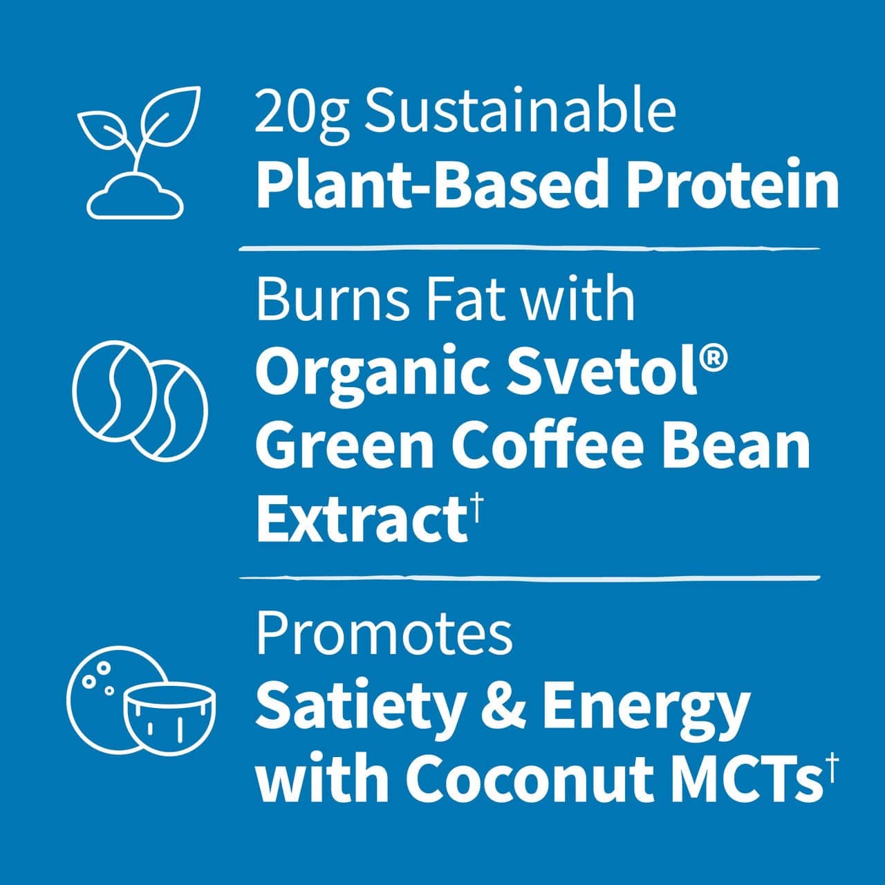 Dr. Formulated MD Protein FIT Sustainable Plant-Based Powder, Creamy Vanilla - 605g – Image 5