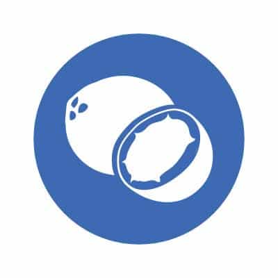 Dr. Formulated MD Protein FIT Sustainable Plant-Based Powder, Rich Chocolate - 635g – Image 7