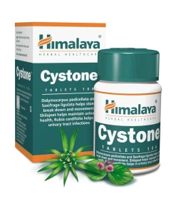 Himalaya - Himalaya Cystone  (100 Tablets)