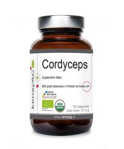 Kenay - KENAY Cordyceps