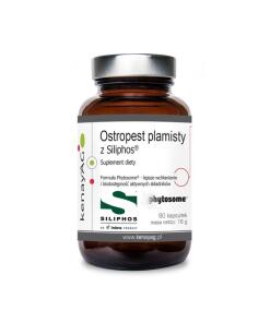 Kenay - KENAY Milk thistle Siliphos (60 caps)