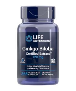 Life Extension - Ginkgo Biloba