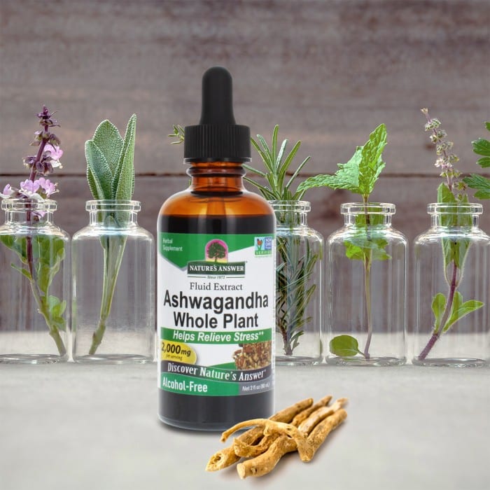 Racine d'Ashwagandha, 2000 mg - 60 ml – Image 4