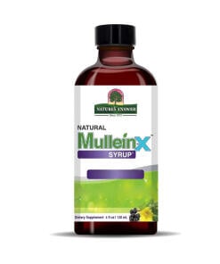 Nature's Answer - Nature's Answer Mullein-X Cough Syrup 4 oz (120ml)