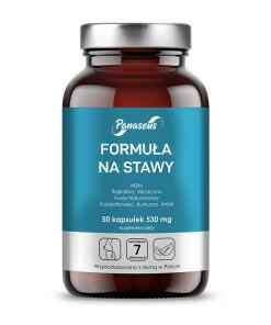 Panaseus - PANASEUS Formula for joints (50 caps)