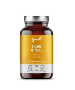 Panaseus - PANASEUS Vital mushrooms (50 kaps.)