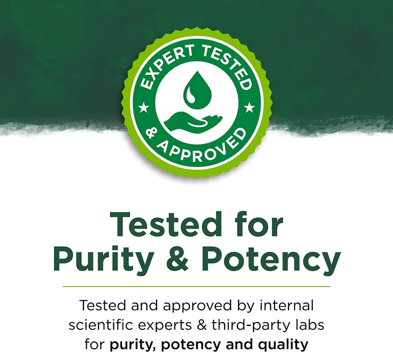 Swanson Curcumine & Berbérine avec Poivre Noir 60 capsules – Image 6