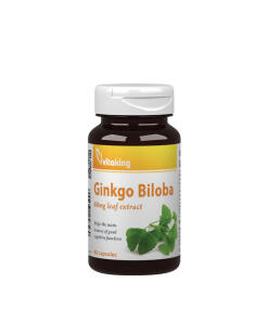 Vitaking - Vitaking Ginkgo Biloba 60mg Leaf Extract (90 Capsules)