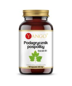 Yango - YANGO Aegopodium podagraria (90 caps)