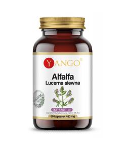 Yango - YANGO Alfalfa (60 caps)