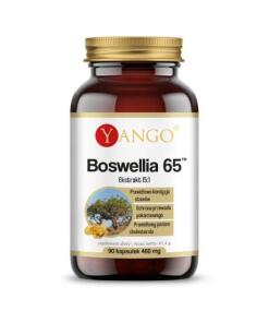 Yango - YANGO Boswellia 65 (90 caps)