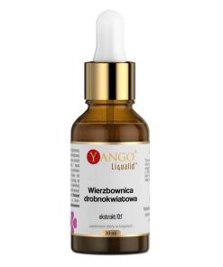 Yango - YANGO Small-flowered Willow - 10:1 extract (30 ml)