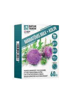 Natur Tanya - Natur Tanya Milk Thistle Max + Kolin (60 Tablets)